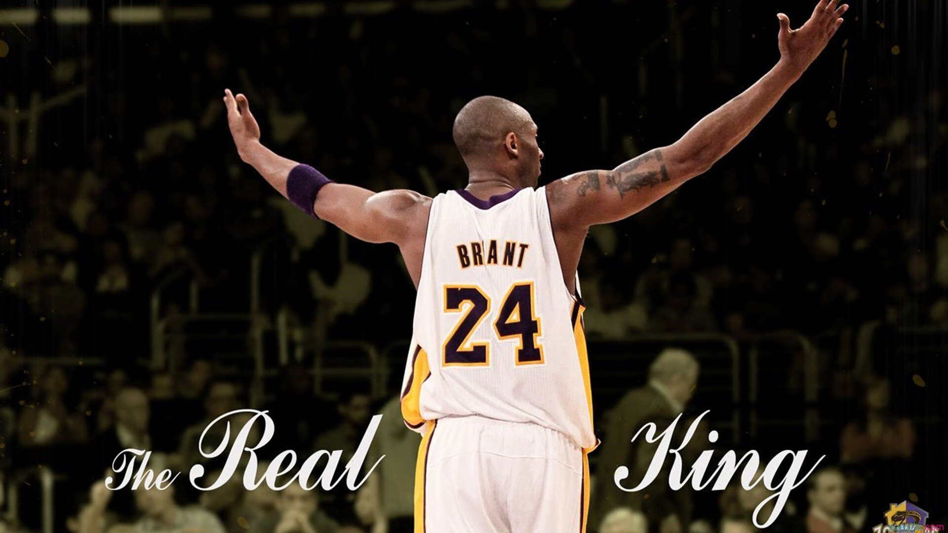 深圳队击溃老鹰，德罗赞成为关键先生，当东方铁壁遇上芝加哥孤狼